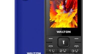 Walton Olvio L25