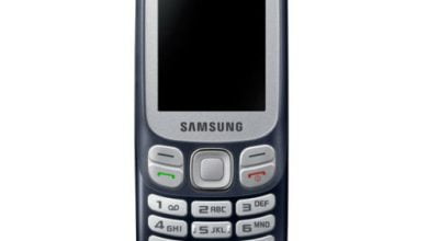 Samsung Metro 313